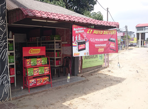 ZY Auto Battery