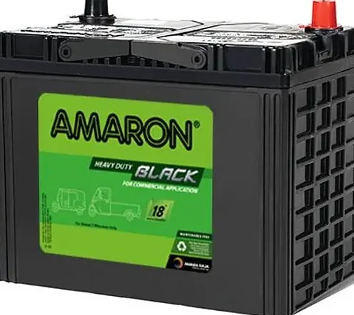 qs amaron battery endau